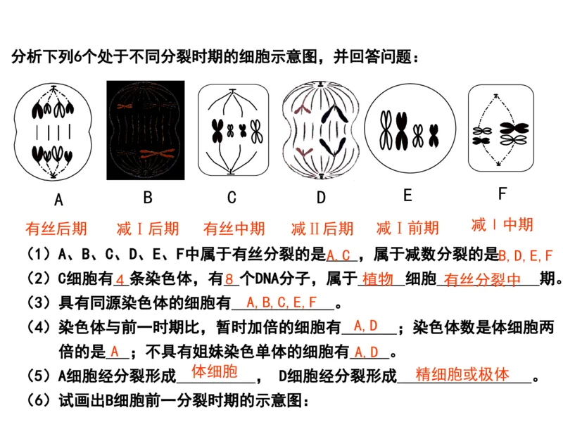 考点精讲7细胞的生命历程（教案）_新高考复习资料_2022年新高考复习资料_2022届一轮复习讲练结合7.13更新_系列二_考点精讲7细胞的生命历程