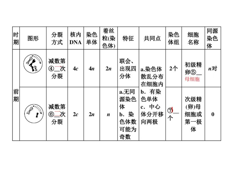 考点精讲7细胞的生命历程（教案）_新高考复习资料_2022年新高考复习资料_2022届一轮复习讲练结合7.13更新_系列二_考点精讲7细胞的生命历程