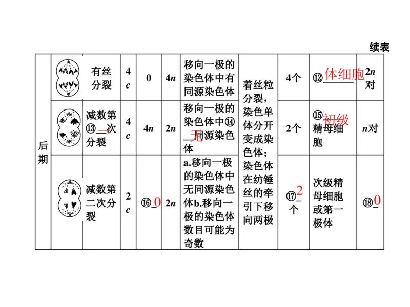 考点精讲7细胞的生命历程（教案）_新高考复习资料_2022年新高考复习资料_2022届一轮复习讲练结合7.13更新_系列二_考点精讲7细胞的生命历程
