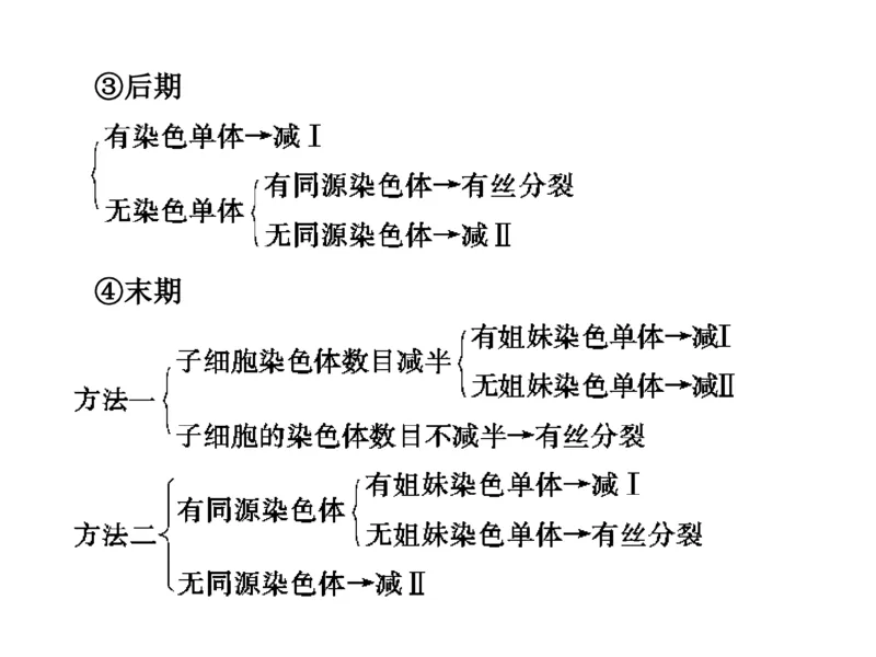 考点精讲7细胞的生命历程（教案）_新高考复习资料_2022年新高考复习资料_2022届一轮复习讲练结合7.13更新_系列二_考点精讲7细胞的生命历程