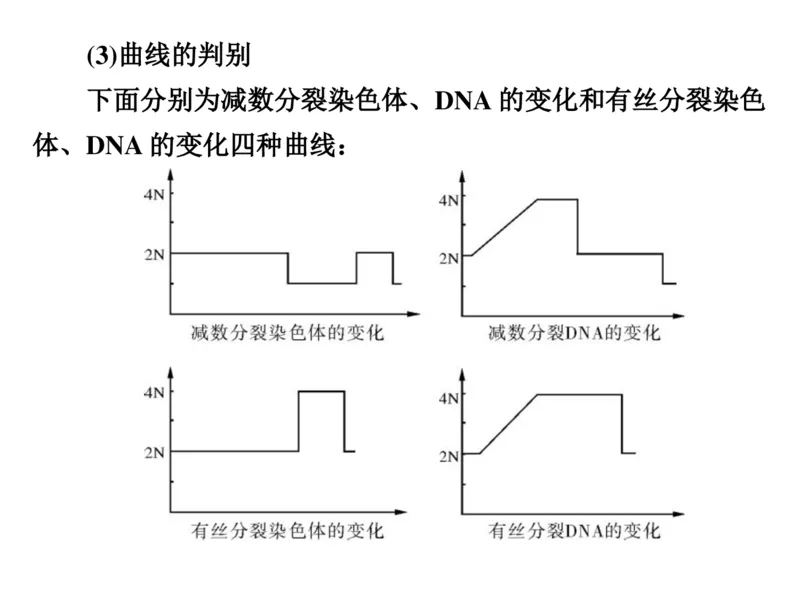 考点精讲7细胞的生命历程（教案）_新高考复习资料_2022年新高考复习资料_2022届一轮复习讲练结合7.13更新_系列二_考点精讲7细胞的生命历程