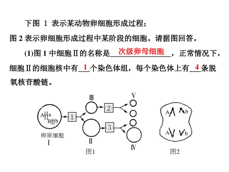 考点精讲7细胞的生命历程（教案）_新高考复习资料_2022年新高考复习资料_2022届一轮复习讲练结合7.13更新_系列二_考点精讲7细胞的生命历程