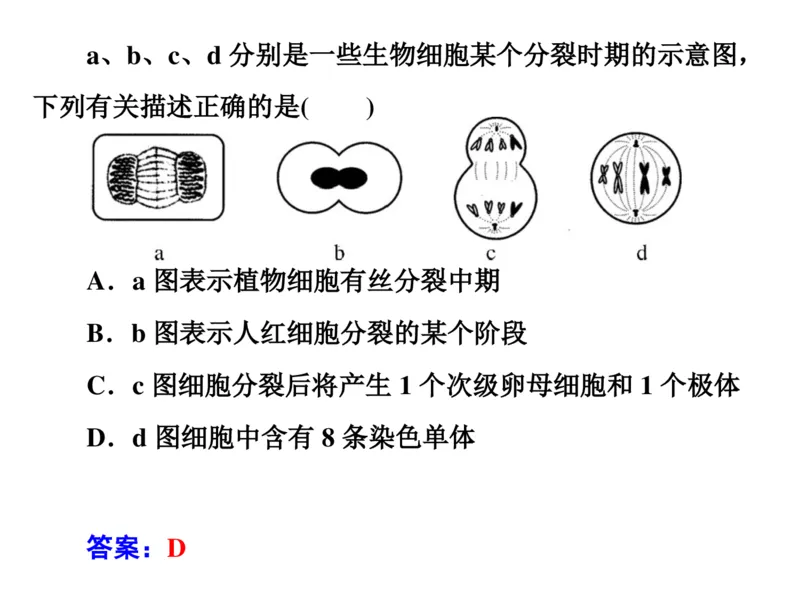 考点精讲7细胞的生命历程（教案）_新高考复习资料_2022年新高考复习资料_2022届一轮复习讲练结合7.13更新_系列二_考点精讲7细胞的生命历程