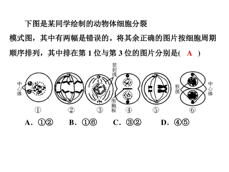 考点精讲7细胞的生命历程（教案）_新高考复习资料_2022年新高考复习资料_2022届一轮复习讲练结合7.13更新_系列二_考点精讲7细胞的生命历程