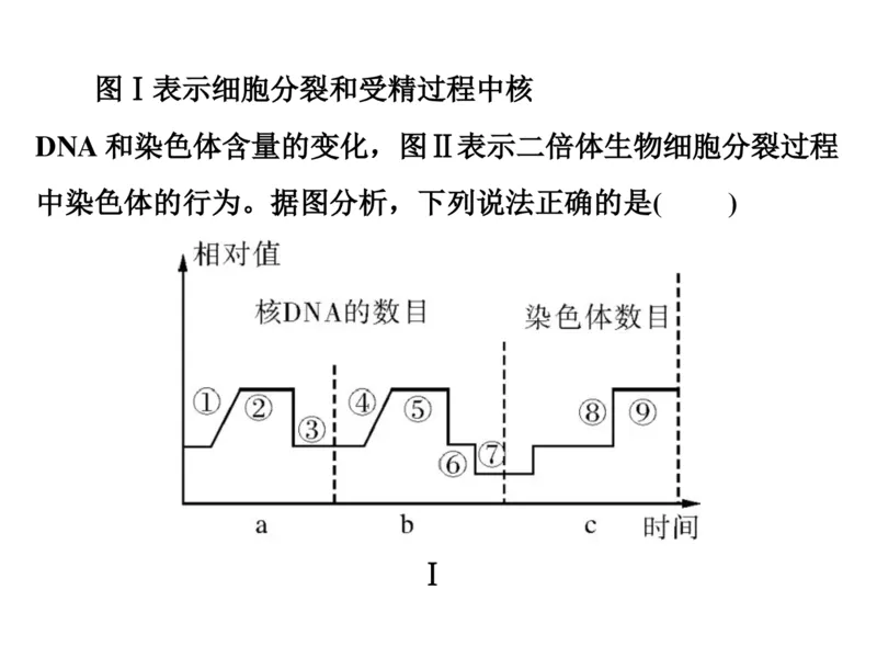 考点精讲7细胞的生命历程（教案）_新高考复习资料_2022年新高考复习资料_2022届一轮复习讲练结合7.13更新_系列二_考点精讲7细胞的生命历程