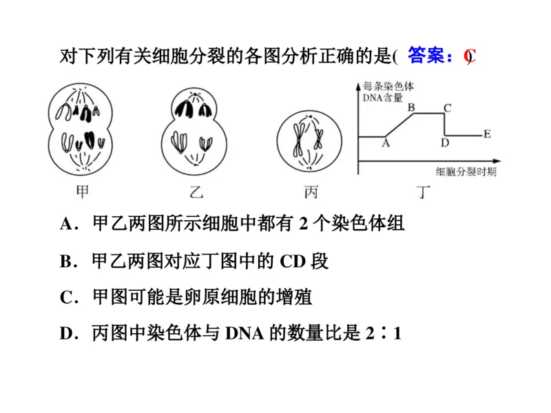 考点精讲7细胞的生命历程（教案）_新高考复习资料_2022年新高考复习资料_2022届一轮复习讲练结合7.13更新_系列二_考点精讲7细胞的生命历程