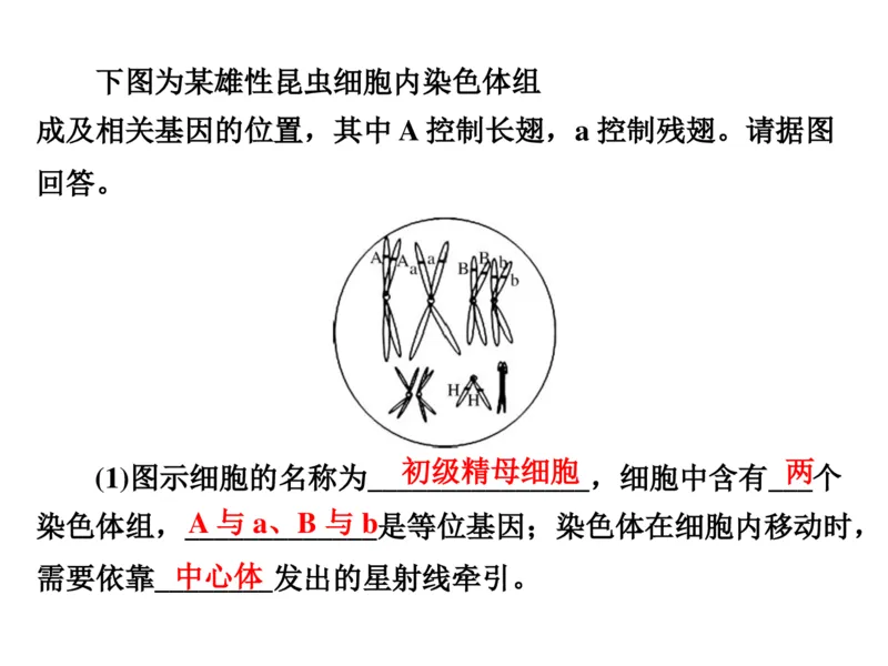 考点精讲7细胞的生命历程（教案）_新高考复习资料_2022年新高考复习资料_2022届一轮复习讲练结合7.13更新_系列二_考点精讲7细胞的生命历程