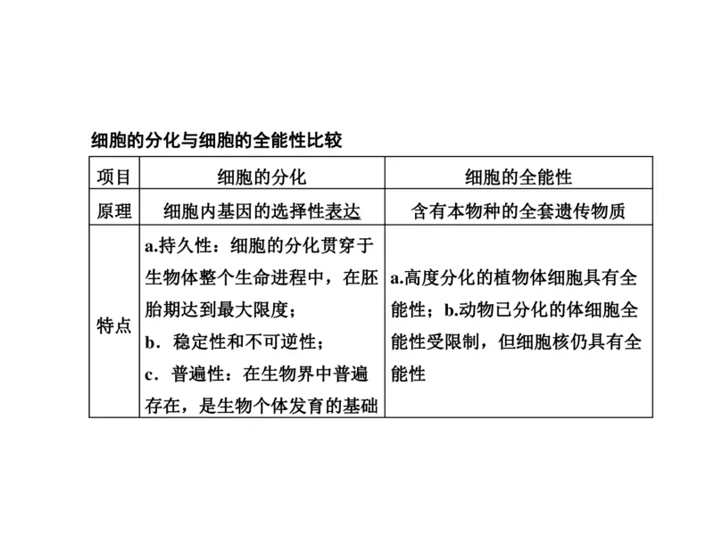 考点精讲7细胞的生命历程（教案）_新高考复习资料_2022年新高考复习资料_2022届一轮复习讲练结合7.13更新_系列二_考点精讲7细胞的生命历程