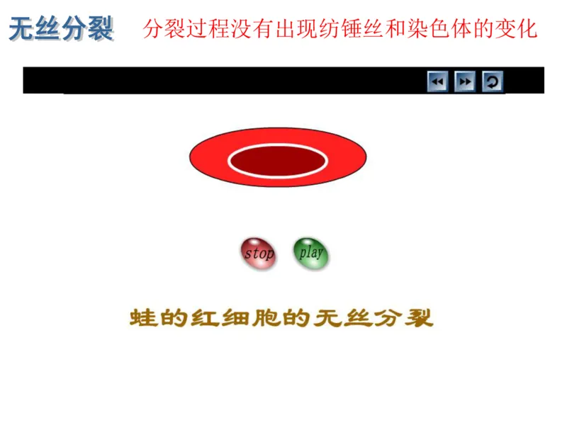 考点精讲7细胞的生命历程（教案）_新高考复习资料_2022年新高考复习资料_2022届一轮复习讲练结合7.13更新_系列二_考点精讲7细胞的生命历程
