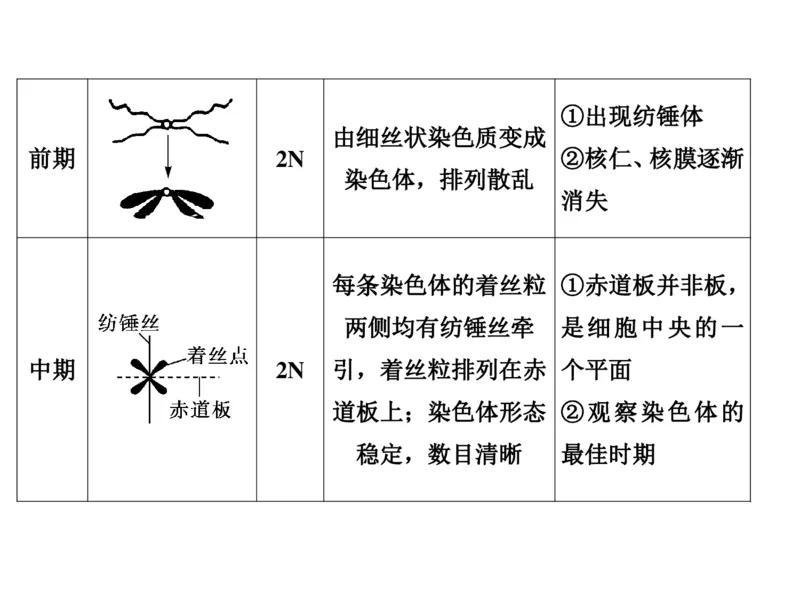 考点精讲7细胞的生命历程（教案）_新高考复习资料_2022年新高考复习资料_2022届一轮复习讲练结合7.13更新_系列二_考点精讲7细胞的生命历程