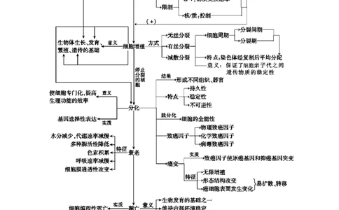 考点精讲7细胞的生命历程（教案）_新高考复习资料_2022年新高考复习资料_2022届一轮复习讲练结合7.13更新_系列二_考点精讲7细胞的生命历程