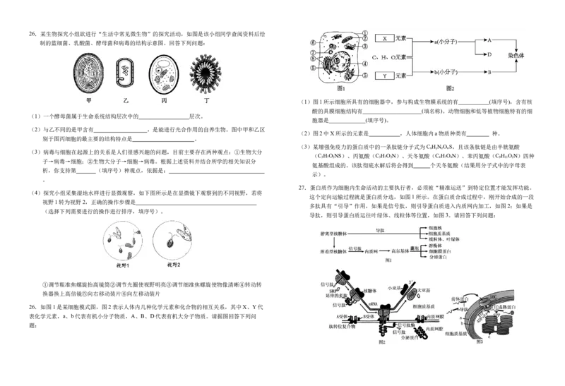 安徽省六安市第一中学2025-2026学年高一上学期11月期中生物试题Word版含解析_2025年12月高一试卷_251203安徽省六安市第一中学2025-2026学年高一上学期11月期中（全）