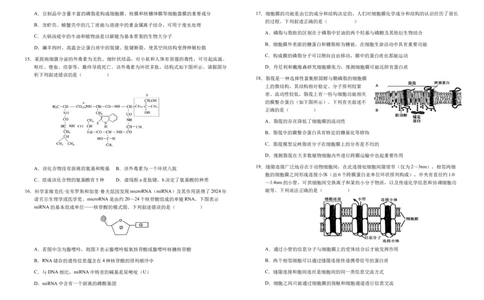 安徽省六安市第一中学2025-2026学年高一上学期11月期中生物试题Word版含解析_2025年12月高一试卷_251203安徽省六安市第一中学2025-2026学年高一上学期11月期中（全）