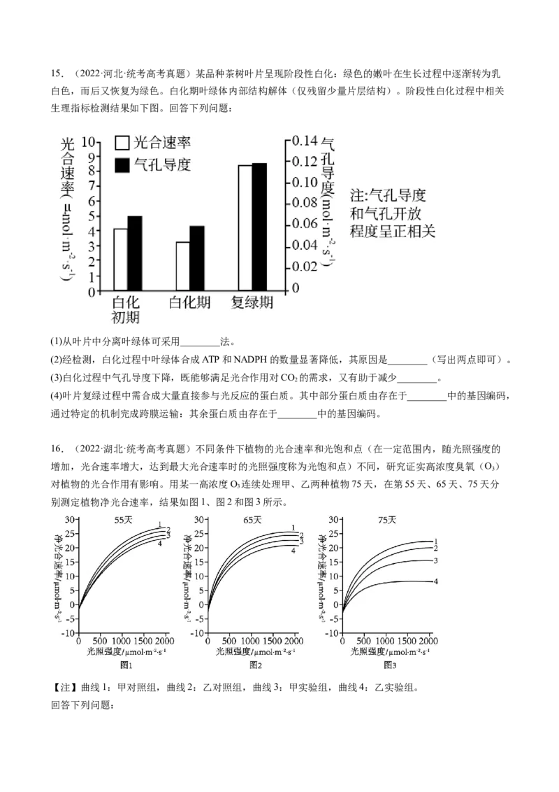 第10.2讲光合作用的影响因素和应用（练习）（原卷版）_新高考复习资料_2024年新高考复习资料_一轮复习资料_完2024年高考生物一轮复习讲练测(课件+讲义+练习)（新高考）_讲义+练习