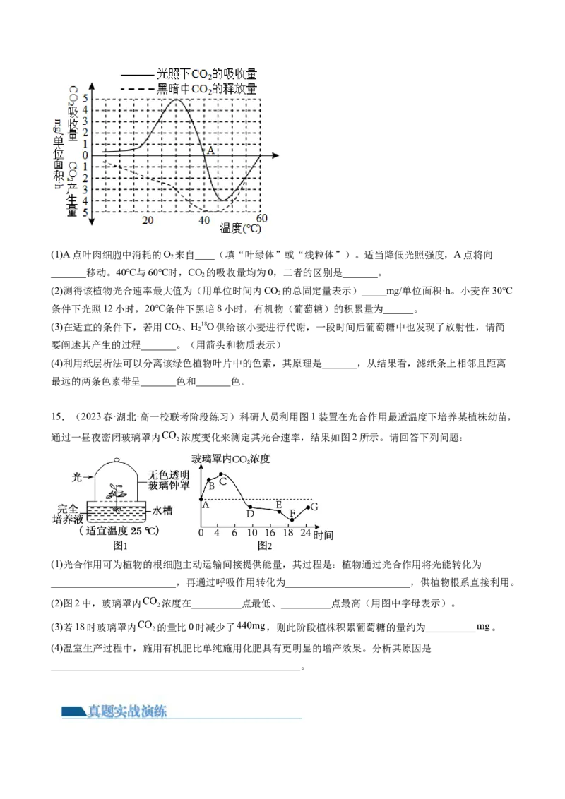 第10.2讲光合作用的影响因素和应用（练习）（原卷版）_新高考复习资料_2024年新高考复习资料_一轮复习资料_完2024年高考生物一轮复习讲练测(课件+讲义+练习)（新高考）_讲义+练习