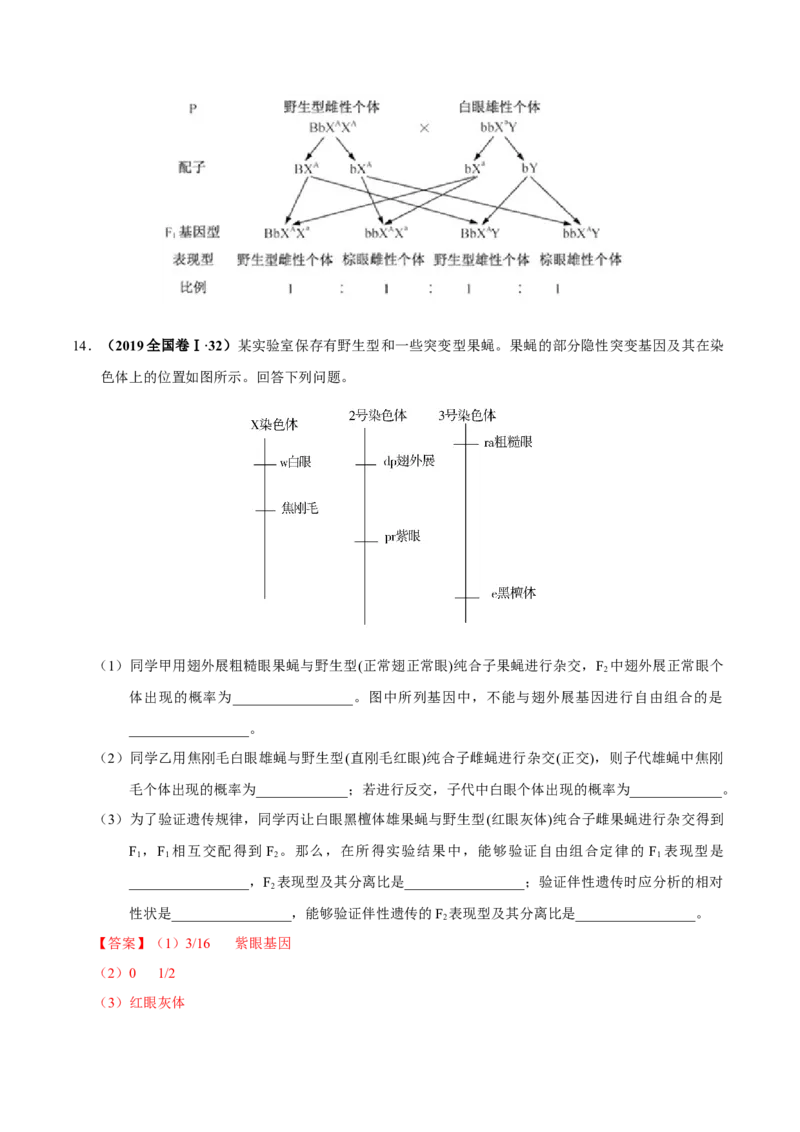 第六单元遗传的基本规律（作业）_新高考复习资料_2022年新高考复习资料_2022届一轮复习讲练结合7.13更新_系列一_第六单元遗传的基本规律