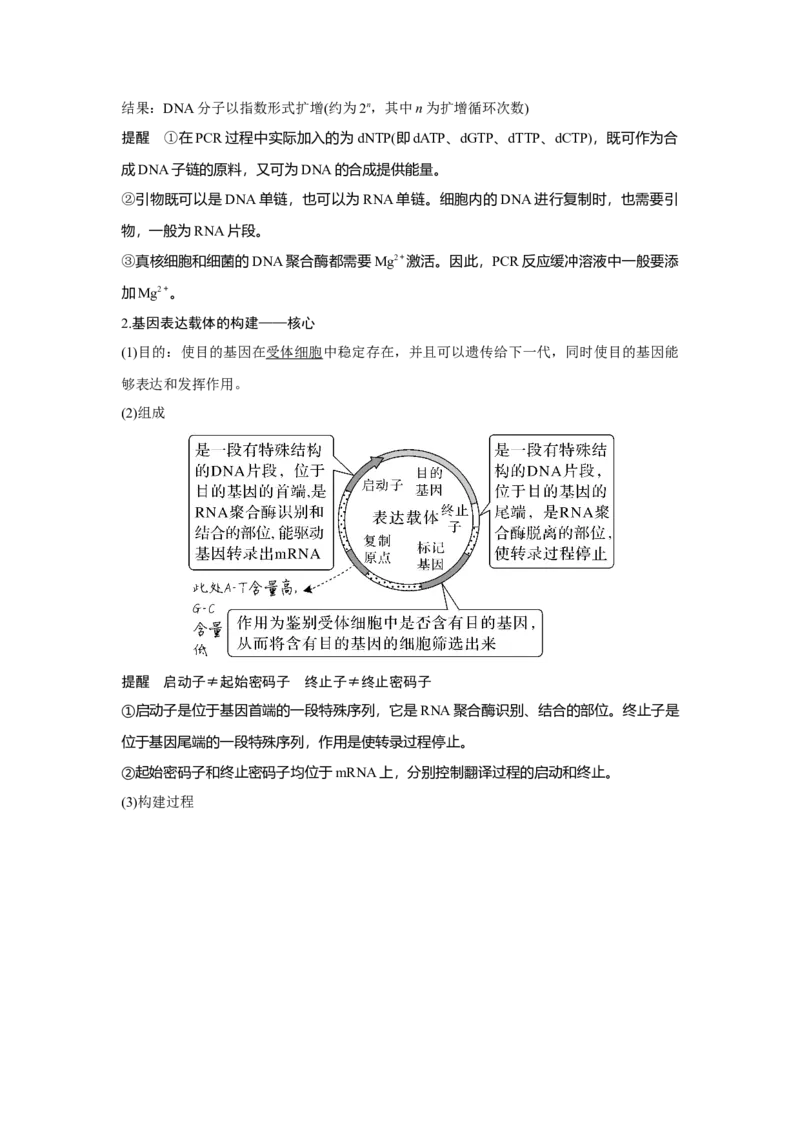 第35讲　基因工程_新高考复习资料_2023年新高考复习资料_一轮复习_2023年新高考大一轮复习讲义_2023年高考生物一轮复习讲义（新人教新高考）_赠补充习题_Word版题库第七~十单元