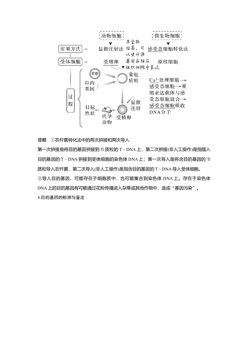 第35讲　基因工程_新高考复习资料_2023年新高考复习资料_一轮复习_2023年新高考大一轮复习讲义_2023年高考生物一轮复习讲义（新人教新高考）_赠补充习题_Word版题库第七~十单元