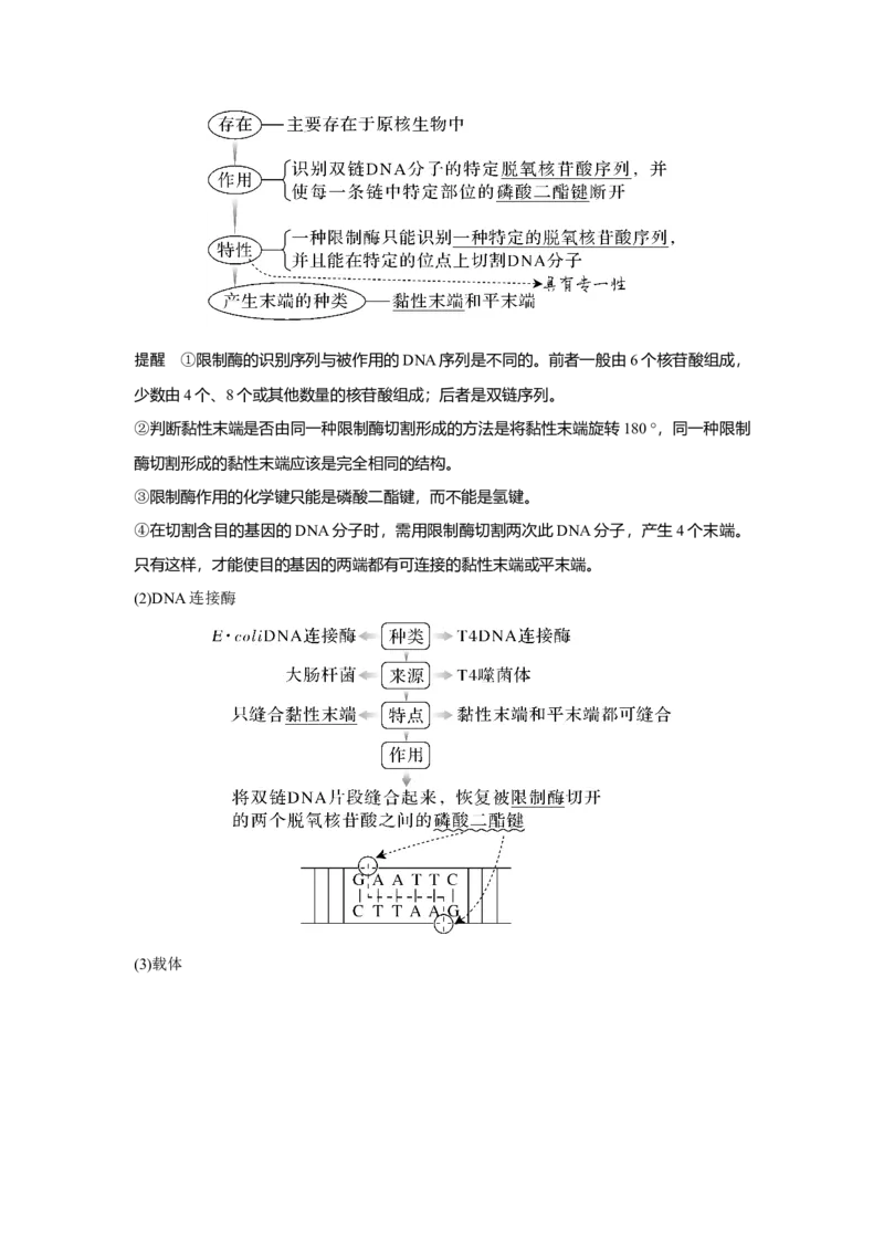 第35讲　基因工程_新高考复习资料_2023年新高考复习资料_一轮复习_2023年新高考大一轮复习讲义_2023年高考生物一轮复习讲义（新人教新高考）_赠补充习题_Word版题库第七~十单元