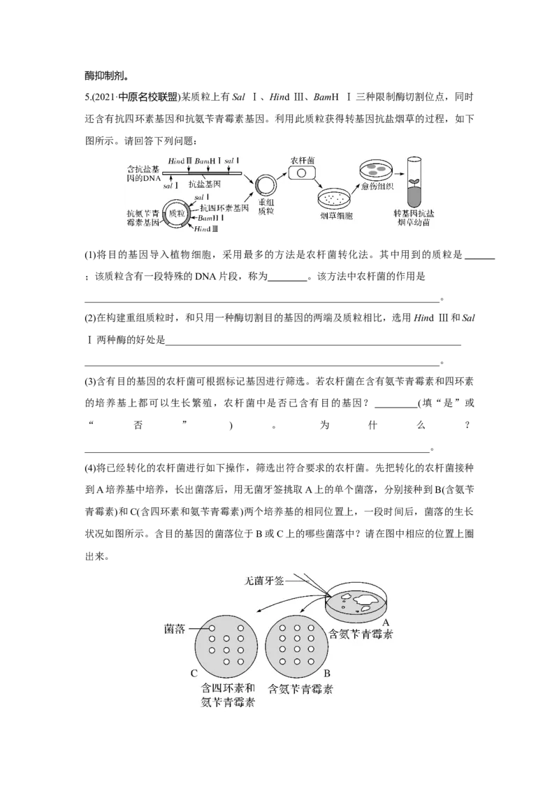 第35讲　基因工程_新高考复习资料_2023年新高考复习资料_一轮复习_2023年新高考大一轮复习讲义_2023年高考生物一轮复习讲义（新人教新高考）_赠补充习题_Word版题库第七~十单元