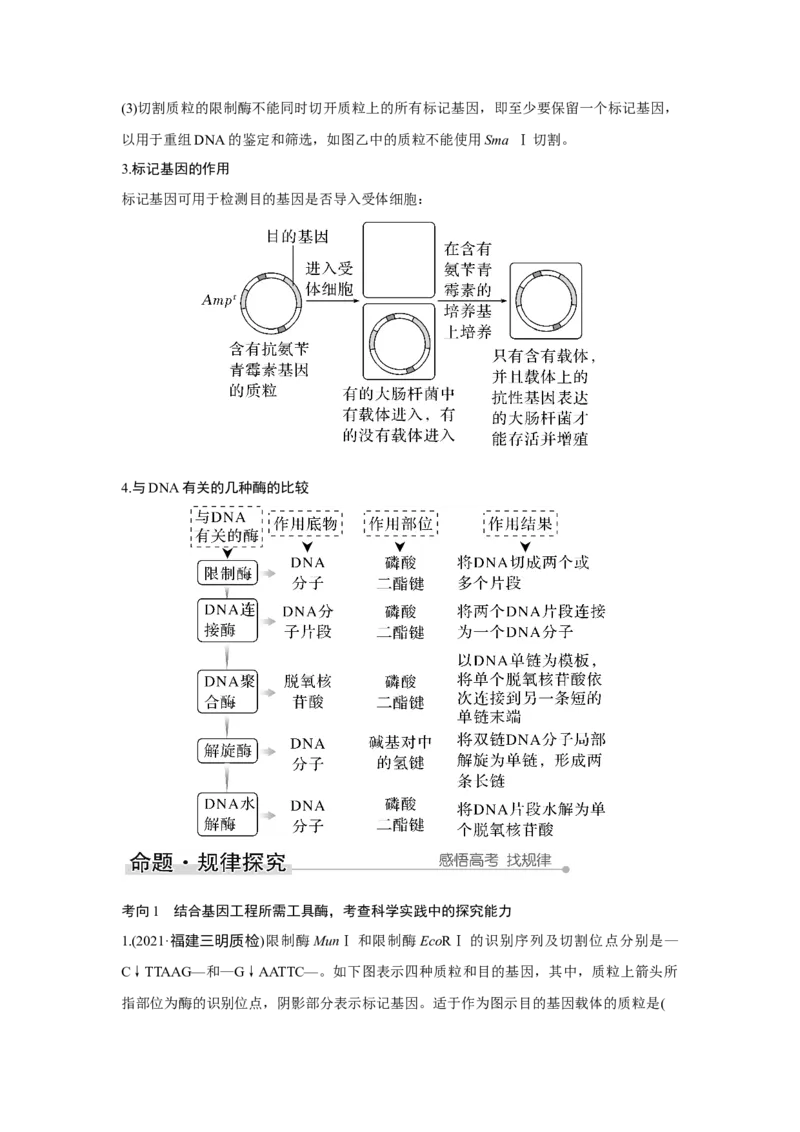 第35讲　基因工程_新高考复习资料_2023年新高考复习资料_一轮复习_2023年新高考大一轮复习讲义_2023年高考生物一轮复习讲义（新人教新高考）_赠补充习题_Word版题库第七~十单元