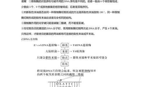 第35讲　基因工程_新高考复习资料_2023年新高考复习资料_一轮复习_2023年新高考大一轮复习讲义_2023年高考生物一轮复习讲义（新人教新高考）_赠补充习题_Word版题库第七~十单元