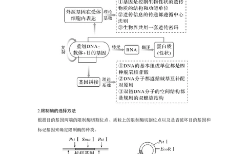 第35讲　基因工程_新高考复习资料_2023年新高考复习资料_一轮复习_2023年新高考大一轮复习讲义_2023年高考生物一轮复习讲义（新人教新高考）_赠补充习题_Word版题库第七~十单元