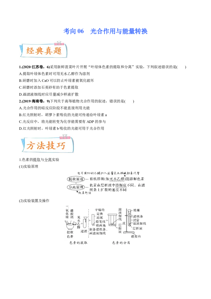 考向06光合作用与能量转换-备战2023年高考生物一轮复习考点微专题（全国通用）（原卷版）(1)_通用版（老高考）复习资料_2023年复习资料_一轮复习