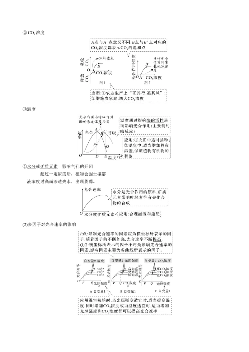 考向06光合作用与能量转换-备战2023年高考生物一轮复习考点微专题（全国通用）（原卷版）(1)_通用版（老高考）复习资料_2023年复习资料_一轮复习