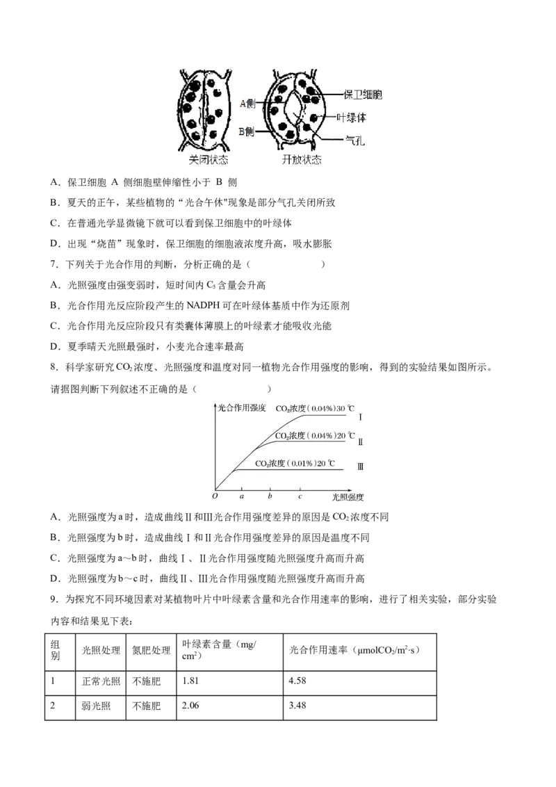 考向06光合作用与能量转换-备战2023年高考生物一轮复习考点微专题（全国通用）（原卷版）(1)_通用版（老高考）复习资料_2023年复习资料_一轮复习