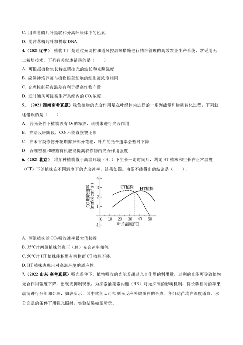 考向06光合作用与能量转换-备战2023年高考生物一轮复习考点微专题（全国通用）（原卷版）(1)_通用版（老高考）复习资料_2023年复习资料_一轮复习
