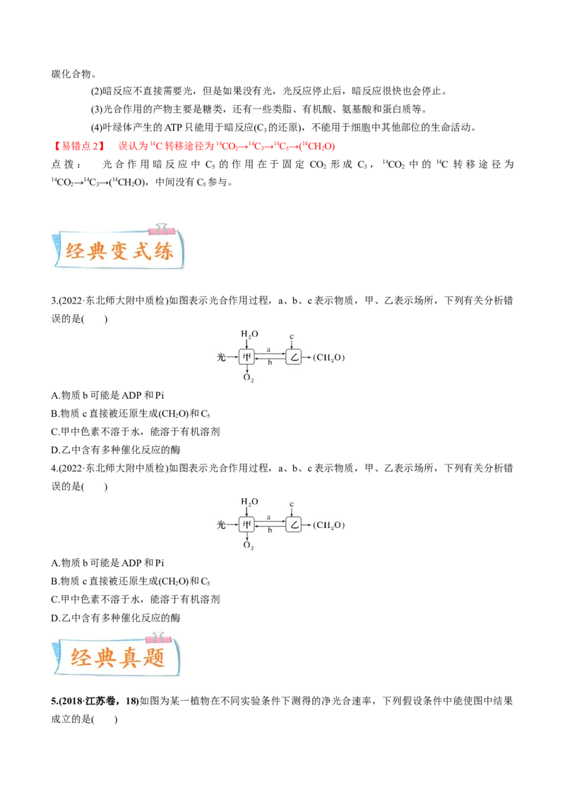 考向06光合作用与能量转换-备战2023年高考生物一轮复习考点微专题（全国通用）（原卷版）(1)_通用版（老高考）复习资料_2023年复习资料_一轮复习