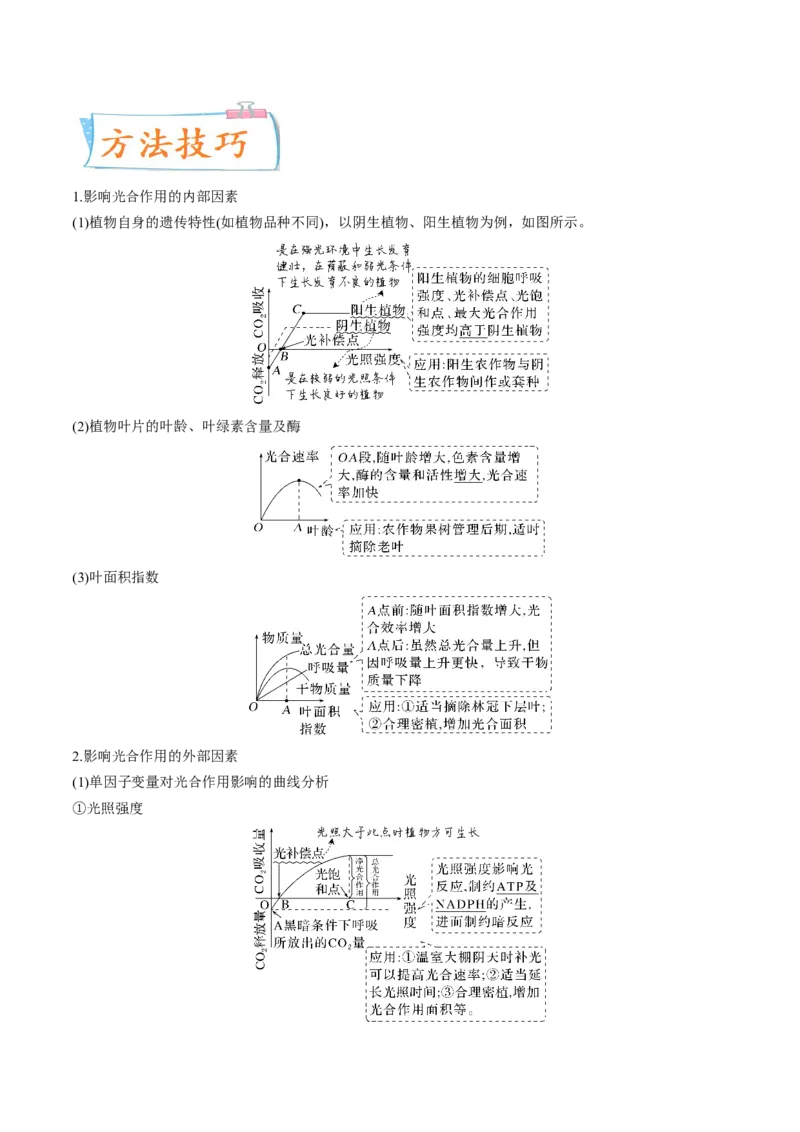 考向06光合作用与能量转换-备战2023年高考生物一轮复习考点微专题（全国通用）（原卷版）(1)_通用版（老高考）复习资料_2023年复习资料_一轮复习