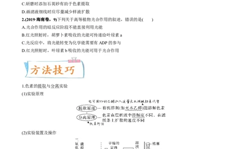 考向06光合作用与能量转换-备战2023年高考生物一轮复习考点微专题（全国通用）（原卷版）(1)_通用版（老高考）复习资料_2023年复习资料_一轮复习