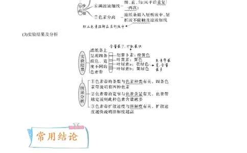 考向06光合作用与能量转换-备战2023年高考生物一轮复习考点微专题（全国通用）（原卷版）(1)_通用版（老高考）复习资料_2023年复习资料_一轮复习