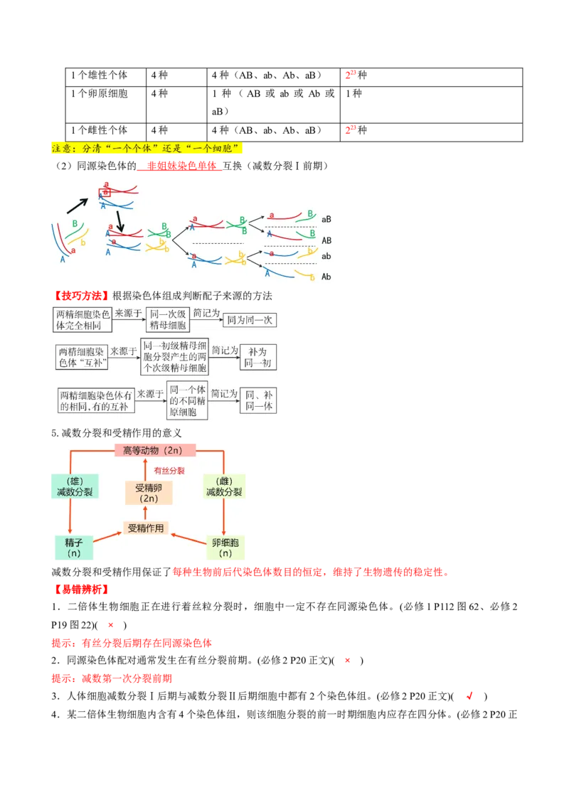 第13讲减数分裂和受精作用（讲义）（解析版）_2025年新高考资料_一轮复习_2025年高考生物一轮复习讲练测（新教材新高考）