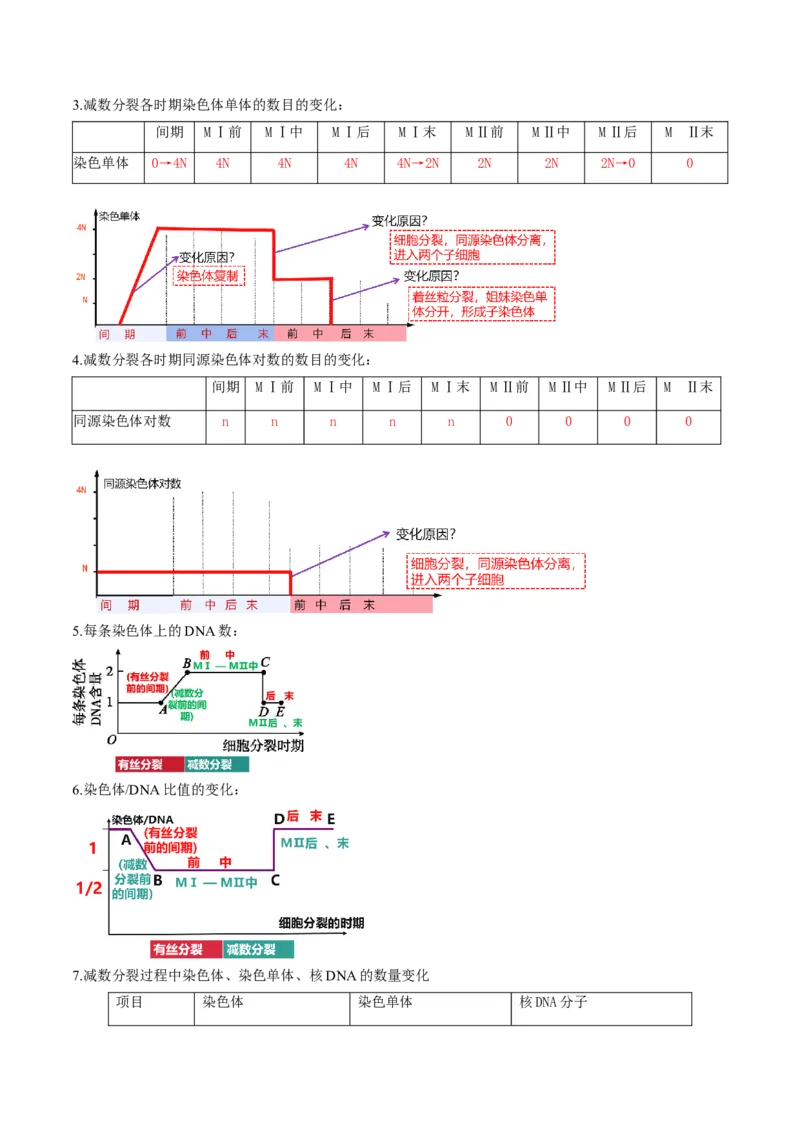 第13讲减数分裂和受精作用（讲义）（解析版）_2025年新高考资料_一轮复习_2025年高考生物一轮复习讲练测（新教材新高考）
