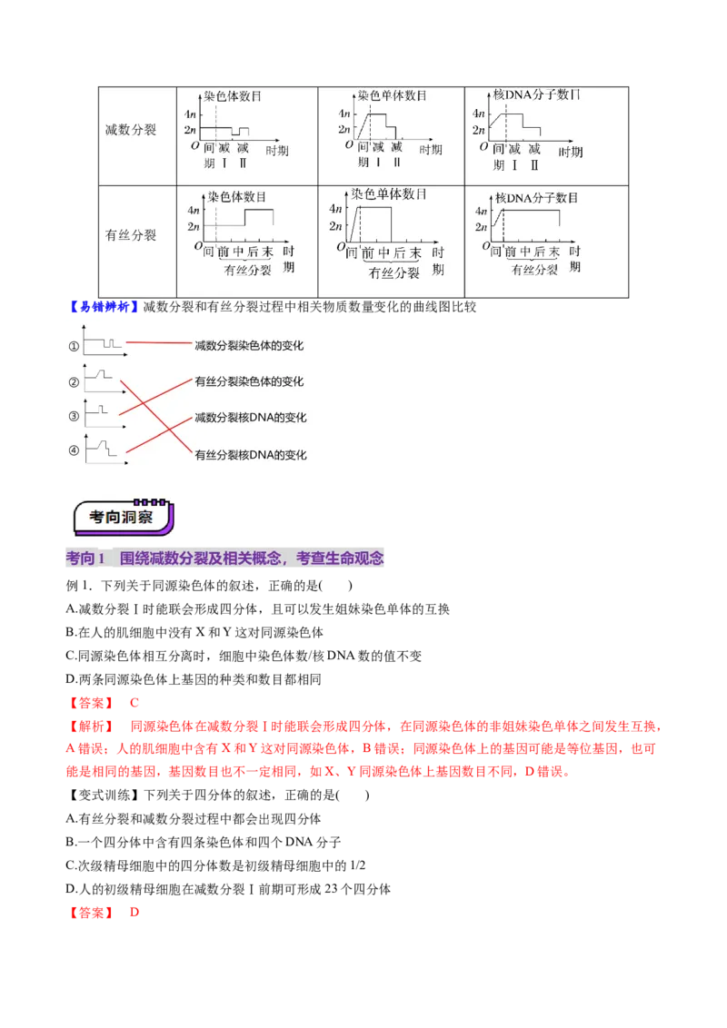 第13讲减数分裂和受精作用（讲义）（解析版）_2025年新高考资料_一轮复习_2025年高考生物一轮复习讲练测（新教材新高考）