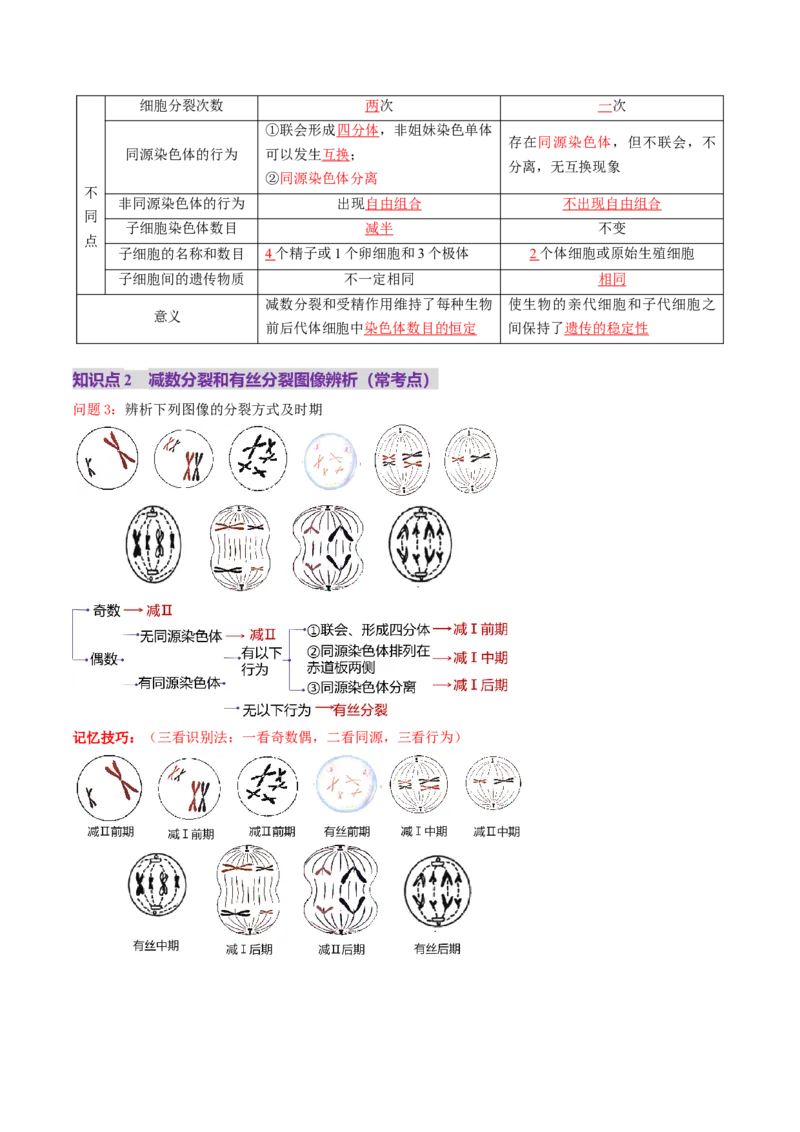 第13讲减数分裂和受精作用（讲义）（解析版）_2025年新高考资料_一轮复习_2025年高考生物一轮复习讲练测（新教材新高考）