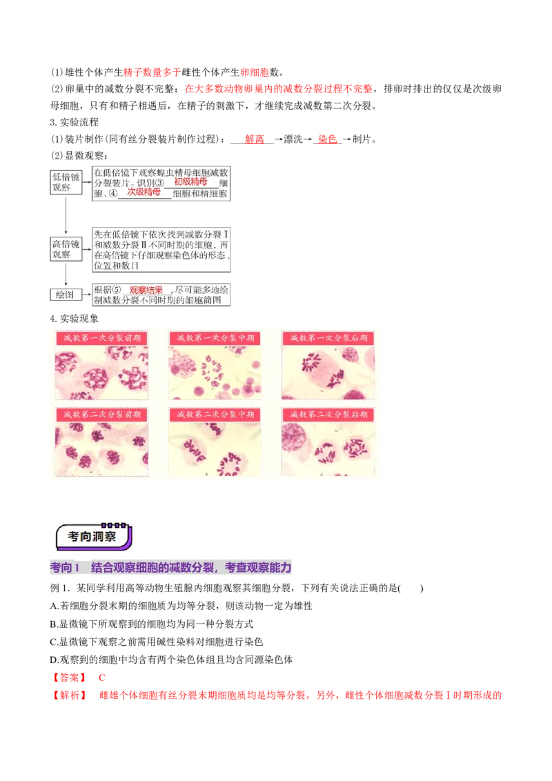 第13讲减数分裂和受精作用（讲义）（解析版）_2025年新高考资料_一轮复习_2025年高考生物一轮复习讲练测（新教材新高考）