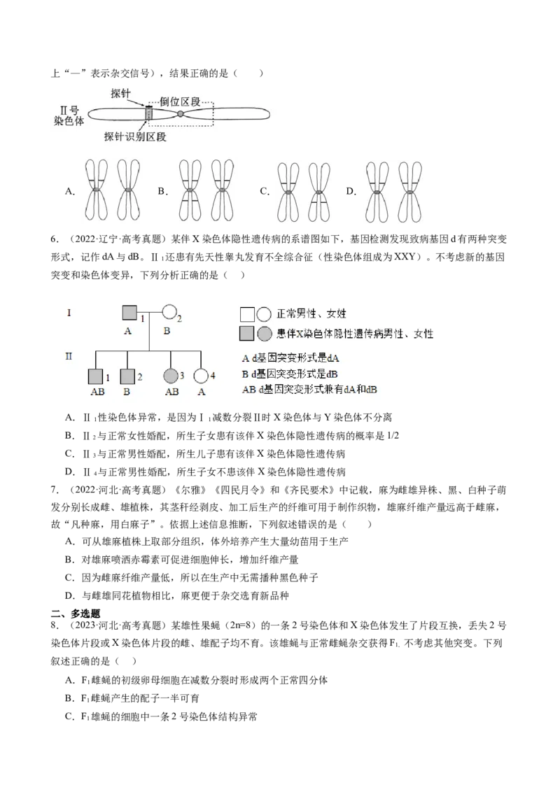 第22讲生物的变异（第二课时，染色体变异）（练习）（原卷版）_2025年新高考资料_一轮复习_2025年高考生物一轮复习讲练测（新教材新高考）