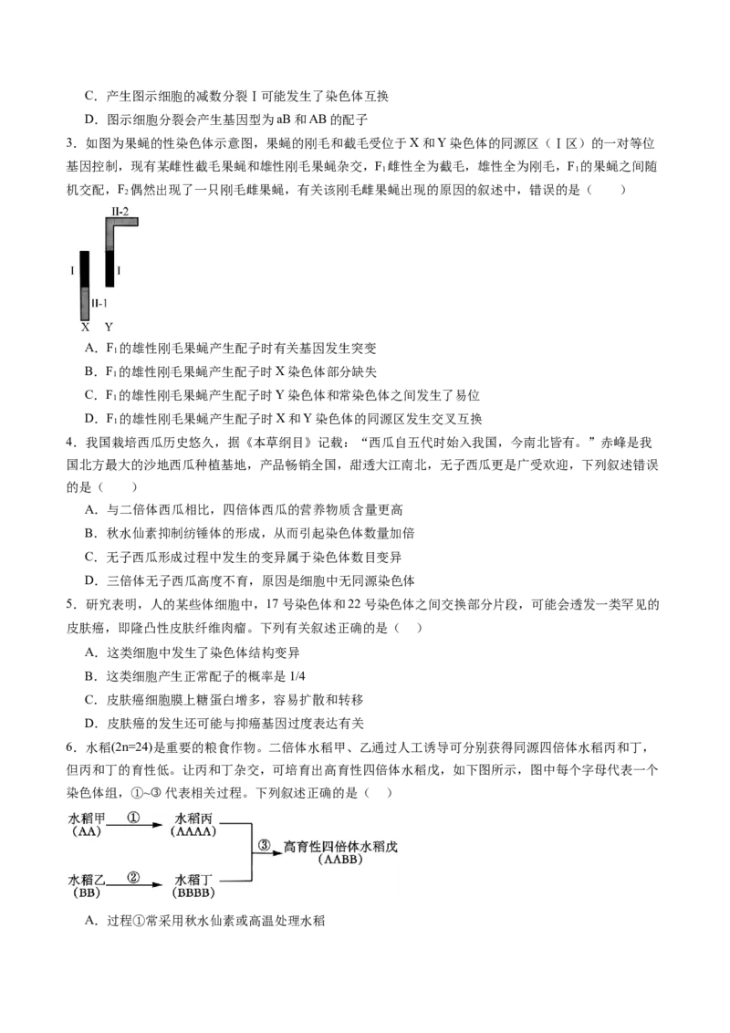 第22讲生物的变异（第二课时，染色体变异）（练习）（原卷版）_2025年新高考资料_一轮复习_2025年高考生物一轮复习讲练测（新教材新高考）