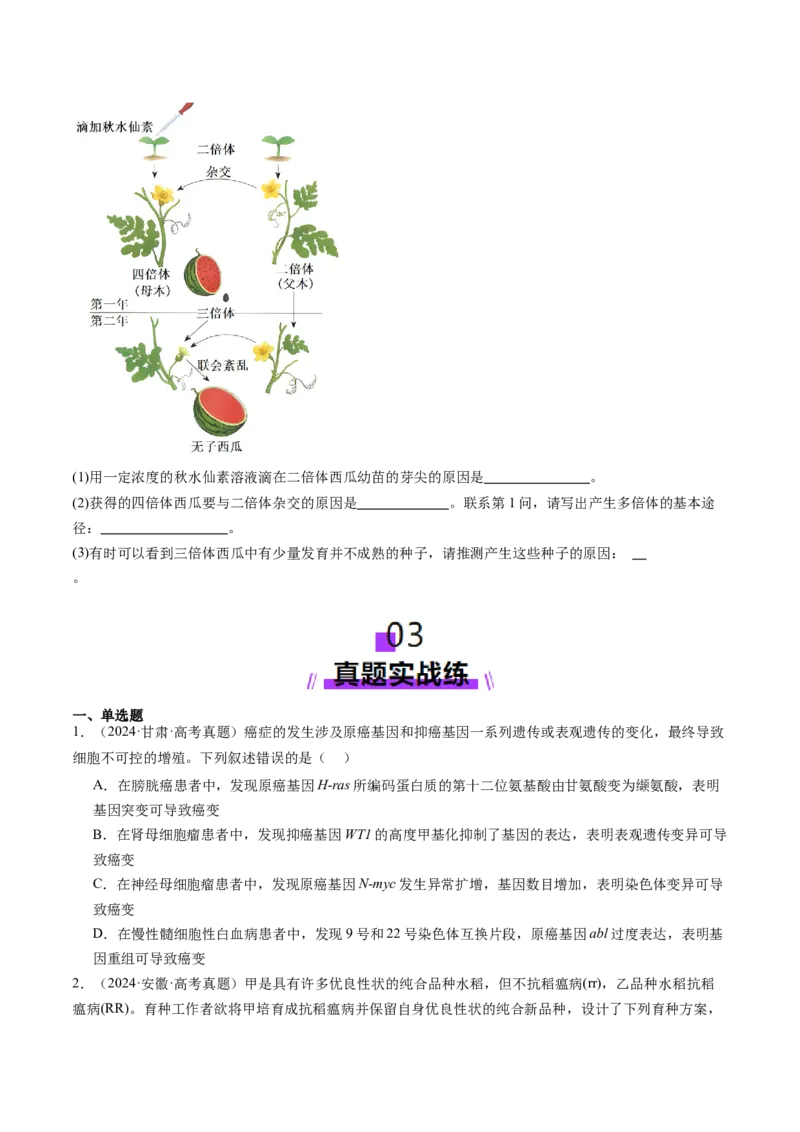 第22讲生物的变异（第二课时，染色体变异）（练习）（原卷版）_2025年新高考资料_一轮复习_2025年高考生物一轮复习讲练测（新教材新高考）