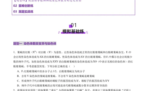 第22讲生物的变异（第二课时，染色体变异）（练习）（原卷版）_2025年新高考资料_一轮复习_2025年高考生物一轮复习讲练测（新教材新高考）
