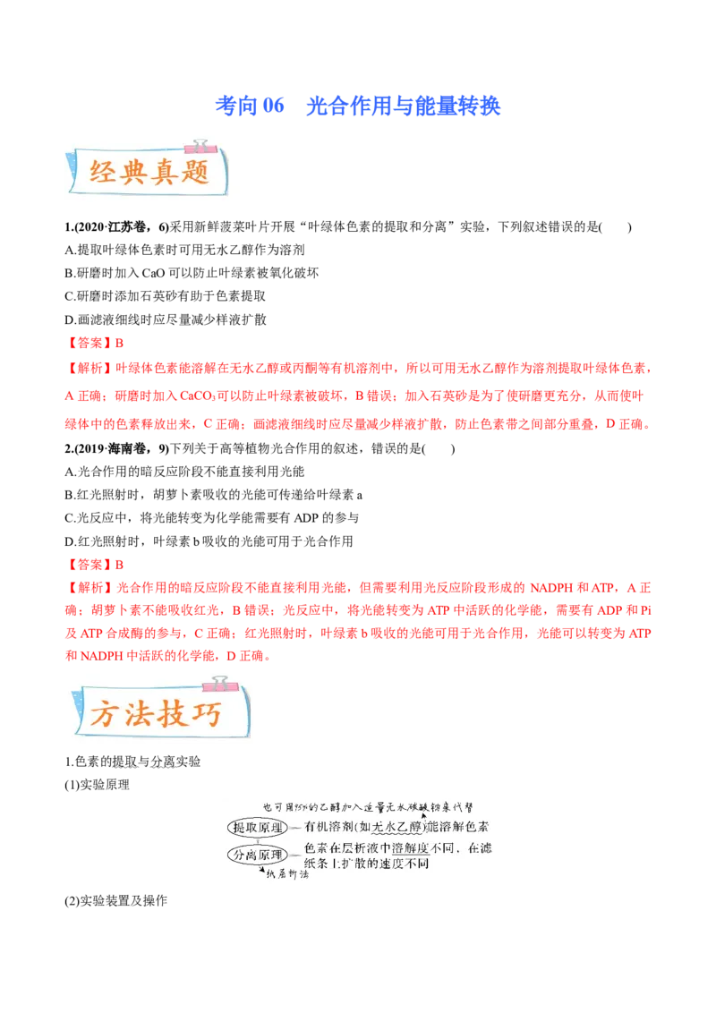考向06光合作用与能量转换-备战2023年高考生物一轮复习考点微专题（全国通用）（解析版）(1)_通用版（老高考）复习资料_2023年复习资料_一轮复习