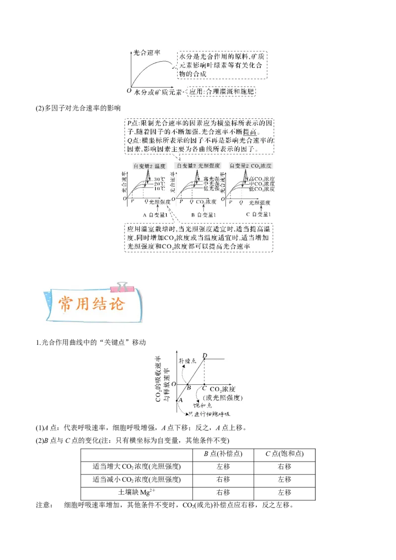 考向06光合作用与能量转换-备战2023年高考生物一轮复习考点微专题（全国通用）（解析版）(1)_通用版（老高考）复习资料_2023年复习资料_一轮复习