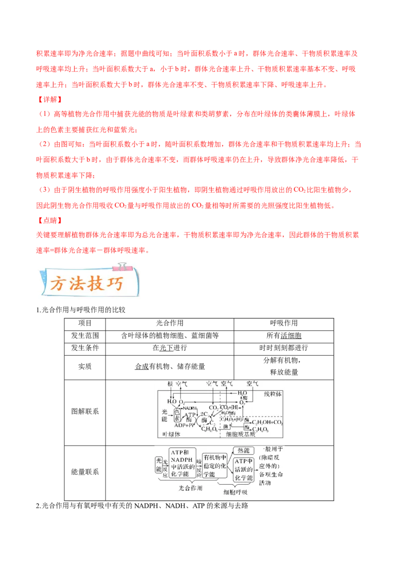 考向06光合作用与能量转换-备战2023年高考生物一轮复习考点微专题（全国通用）（解析版）(1)_通用版（老高考）复习资料_2023年复习资料_一轮复习
