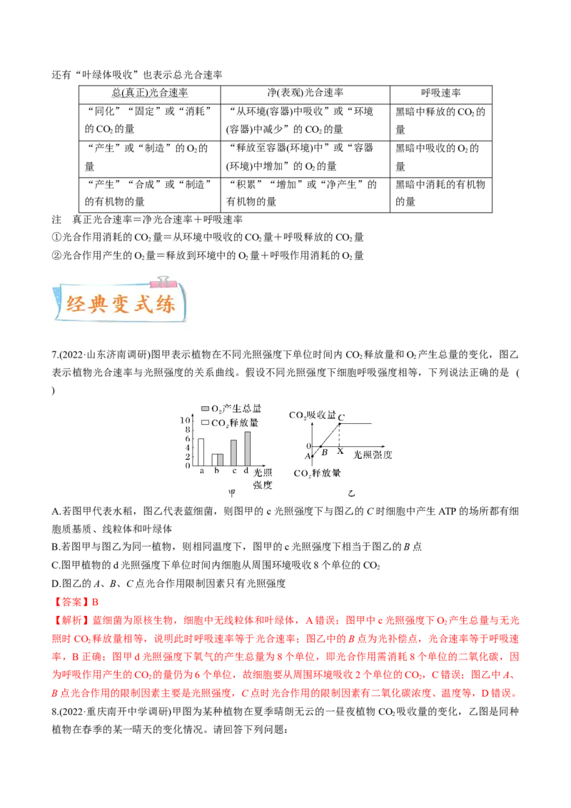 考向06光合作用与能量转换-备战2023年高考生物一轮复习考点微专题（全国通用）（解析版）(1)_通用版（老高考）复习资料_2023年复习资料_一轮复习
