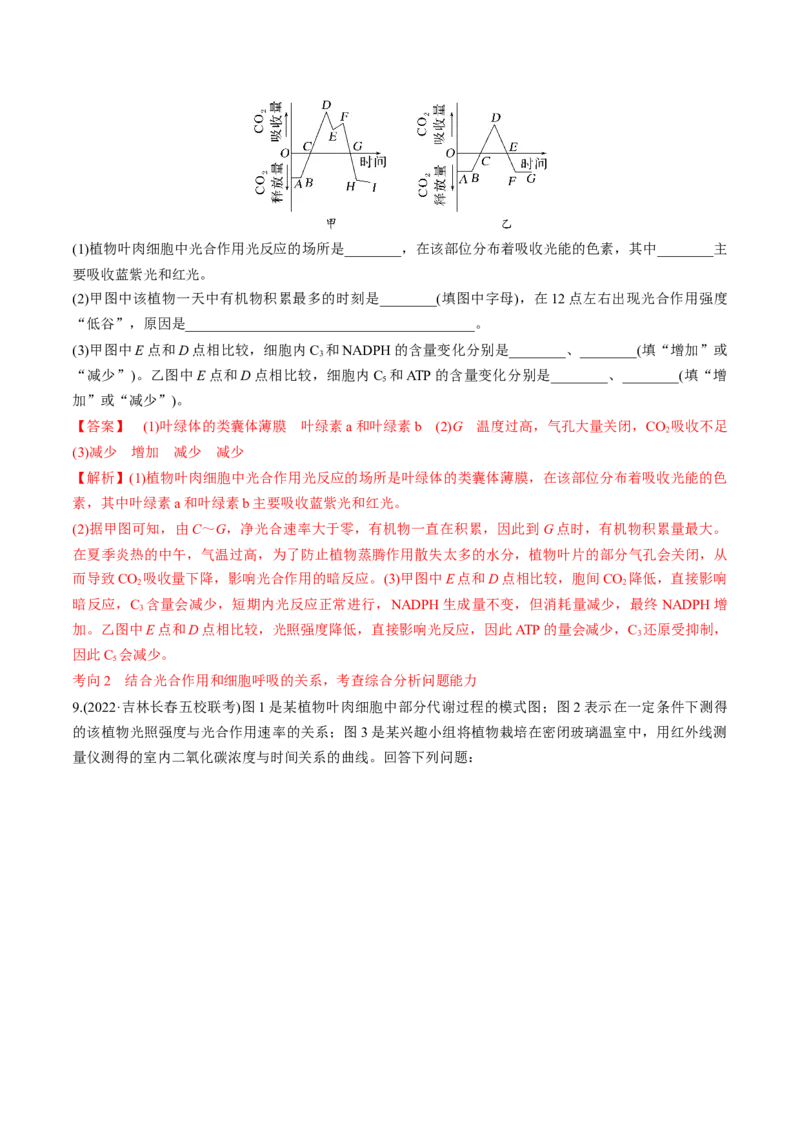 考向06光合作用与能量转换-备战2023年高考生物一轮复习考点微专题（全国通用）（解析版）(1)_通用版（老高考）复习资料_2023年复习资料_一轮复习