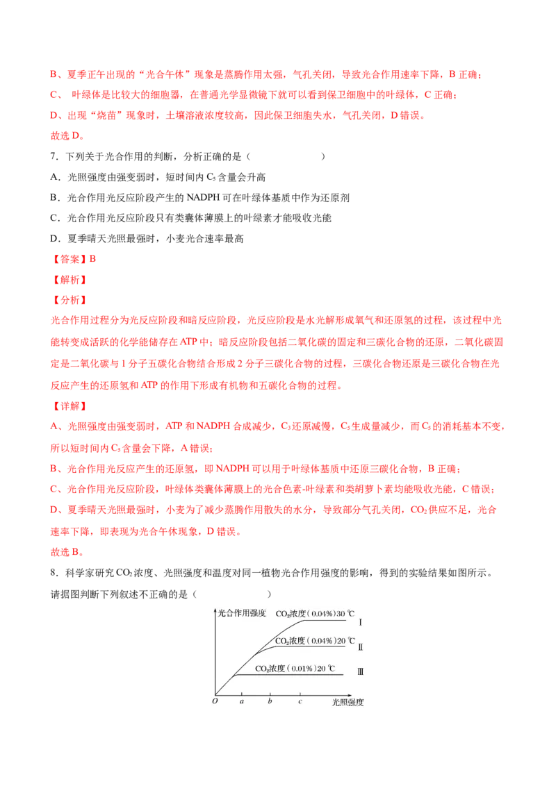 考向06光合作用与能量转换-备战2023年高考生物一轮复习考点微专题（全国通用）（解析版）(1)_通用版（老高考）复习资料_2023年复习资料_一轮复习